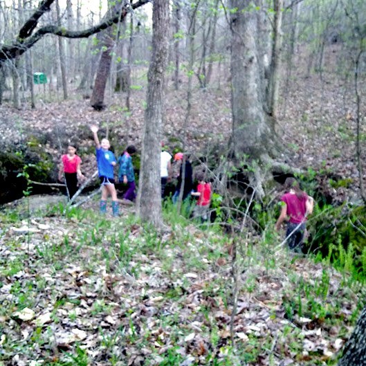 Forest Fun campers playing and exploring at the creek